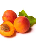 Apricots / 600 gm Pnt-Fresh Fruit-Granieri's-iPantry-australia