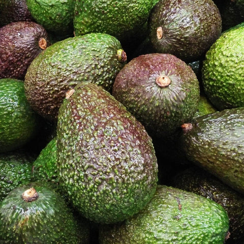 Avocado / Hass - Case (18/20 Units)-Fresh Fruit-Granieri's-iPantry-australia