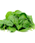 Spinach / Baby - Box (1.5kg)-Granieri's-iPantry-australia