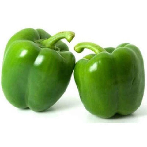 Capsicum / Green - Case (10Kg)-Granieri's-iPantry-australia