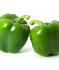 Capsicum / Green - Each-Granieri's-iPantry-australia