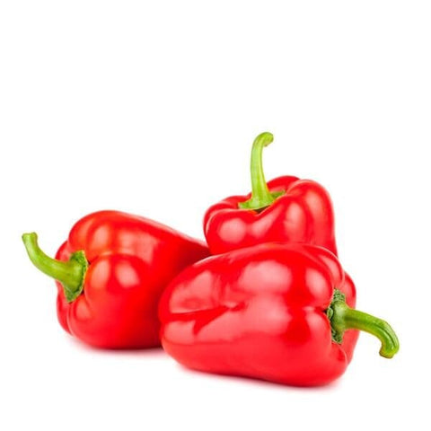 Capsicum / Red - Case (10Kg)-Granieri's-iPantry-australia