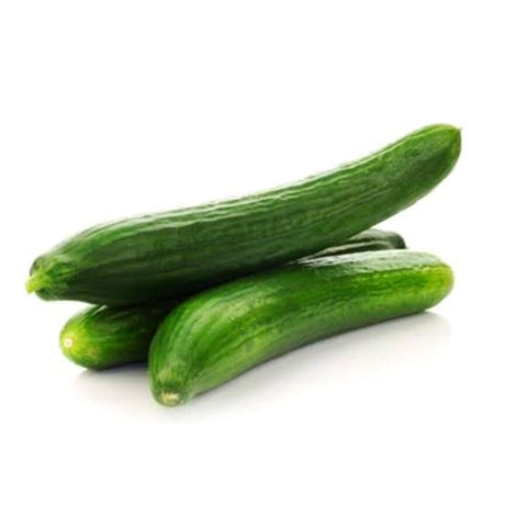 Cucumbers / Continental - Bag (15 Units)-Granieri's-iPantry-australia