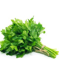 Parsley / Continental - Per Bunch-Granieri's-iPantry-australia