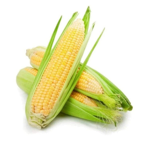 Corn / 2 unit Special Buy - Granieri's