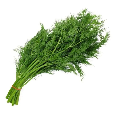 Dill / Bunch-Granieri's-iPantry-australia