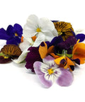 Edible Flowers - Punnet-Granieri's-iPantry-australia