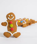 Gingerbread Man 6 Pack-Indulgence-FIG-iPantry-australia