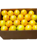 Oranges / Juicing - Case (15Kg)-Granieri's-iPantry-australia