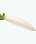 Radish / White Daikon (Each) - Granieri's