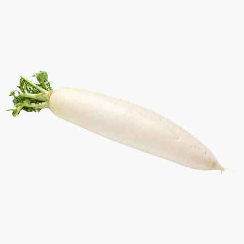 Radish / White Daikon (Each) - Granieri's