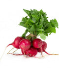 Radish Red / Bunch-Granieri's-iPantry-australia