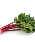 Rhubarb / Bunch-Granieri's-iPantry-australia