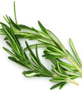 Rosemary - Per Bunch-Granieri's-iPantry-australia