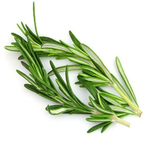 Rosemary - Per Bunch-Granieri's-iPantry-australia