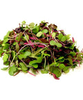 Salad Mix / Microherbs - 100g punnet-Granieri's-iPantry-australia