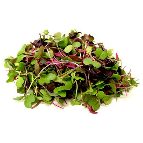 Salad Mix / Microherbs - 100g punnet-Granieri's-iPantry-australia