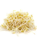 Sprouts / Beanshoots - Punnet (200g) - Granieri's