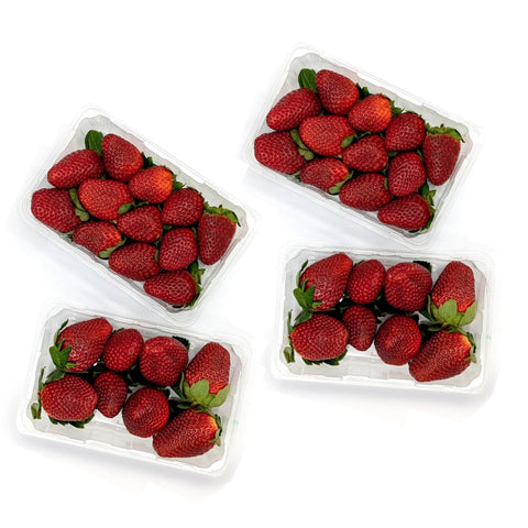 Strawberries - Medium / 4 Punnet Special - Granieri's