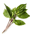 Thai Basil - Per Bunch-Granieri's-iPantry-australia