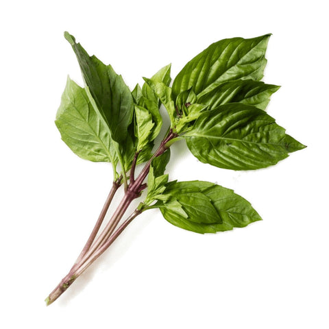 Thai Basil - Per Bunch-Granieri's-iPantry-australia