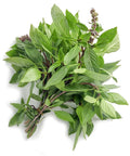 Thai Basil - Per Bunch-Granieri's-iPantry-australia