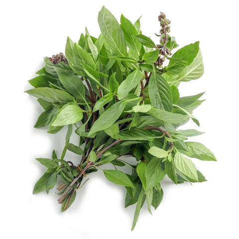 Thai Basil - Per Bunch-Granieri's-iPantry-australia